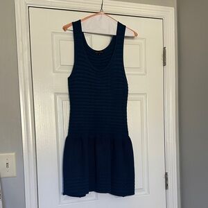 Jealous Tomato Navy Mini Dress